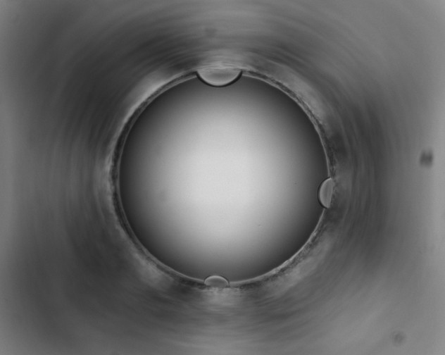X0000103320893200809051144