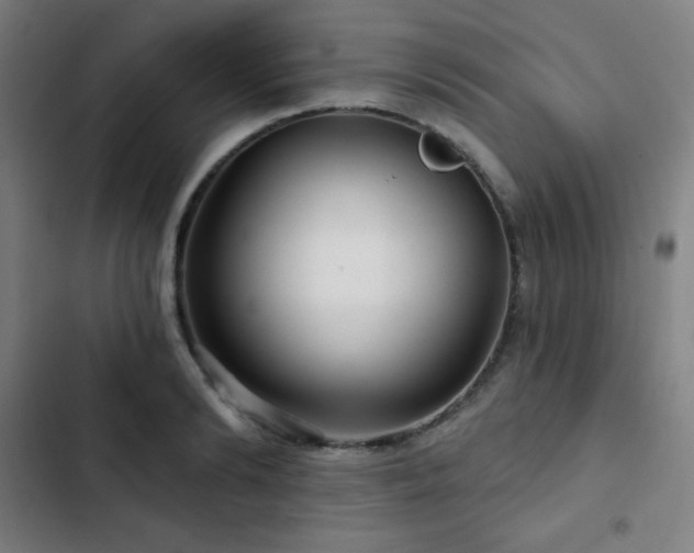 X0000103320894200809051144