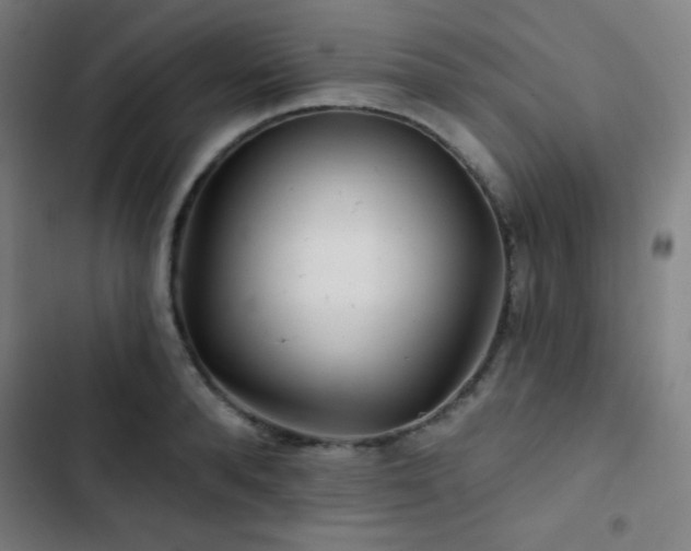 X0000103320896200809051144