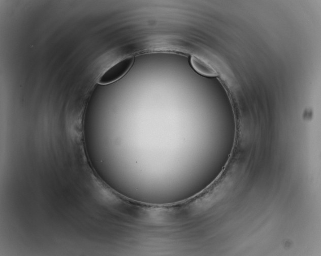 X0000103320897200809051144