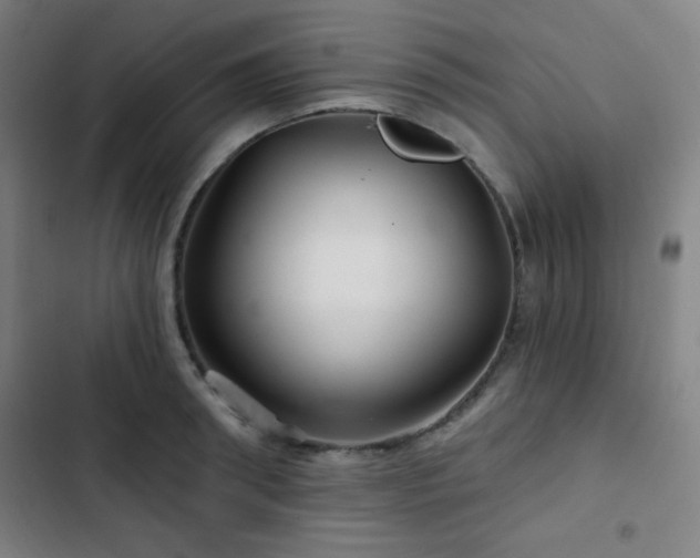 X0000103320898200809051144