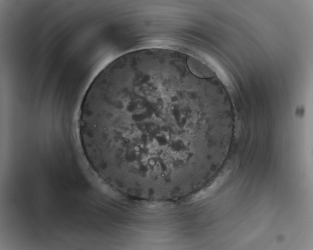 X0000103320899200809051144