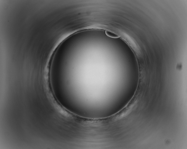 X0000103320900200809051144