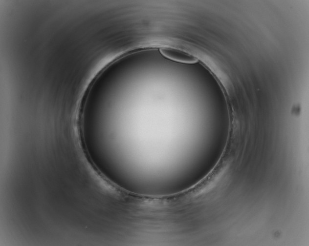X0000103320901200809051144