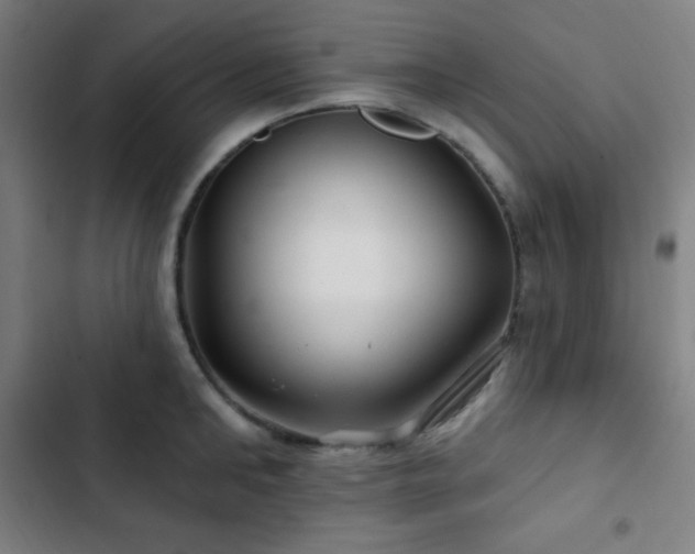 X0000103320902200809051144