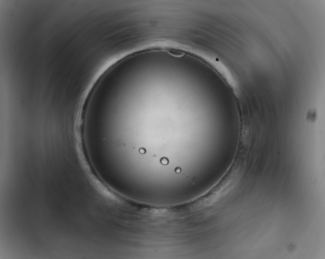 X0000103320903200809051144