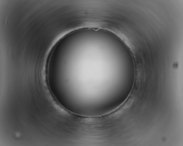 X0000103320904200809051144