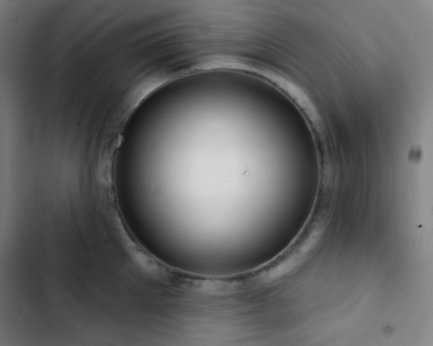 X0000103320905200809051144