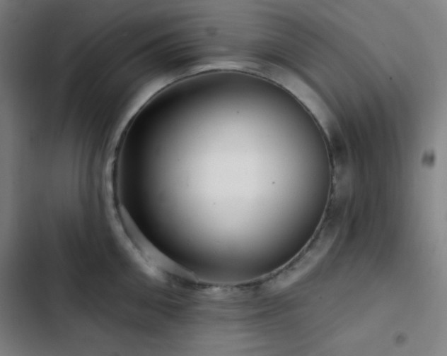 X0000103320906200809051144