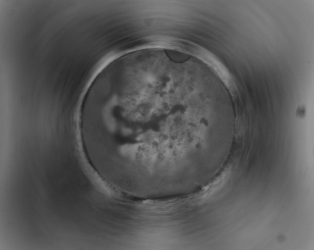X0000103320907200809051144