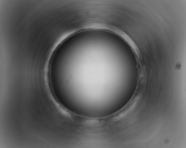 X0000103320909200809051144