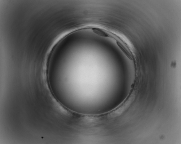 X0000103320910200809051144
