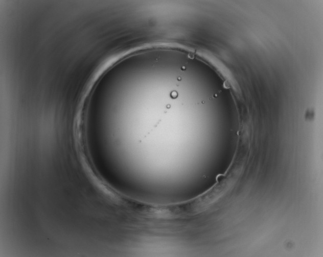 X0000103320911200809051144