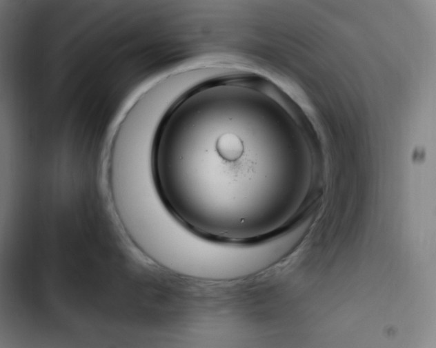 X0000103320912200809051144
