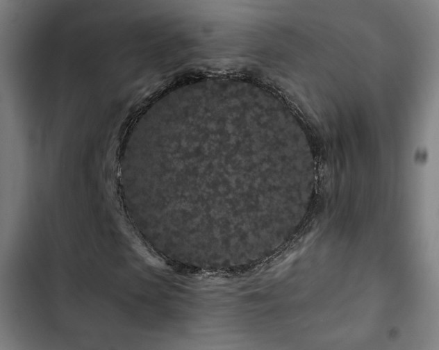 X0000103320913200809051143