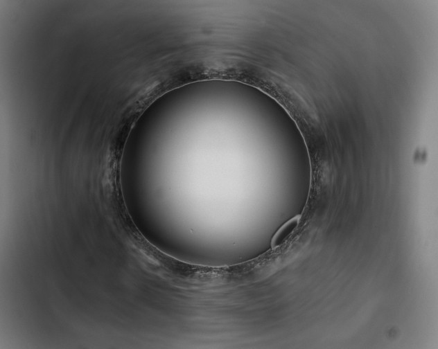 X0000103320914200809051143