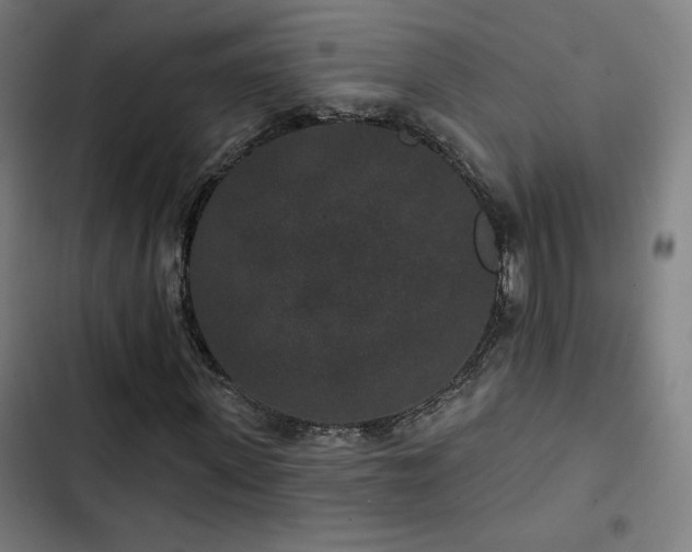 X0000103320915200809051143