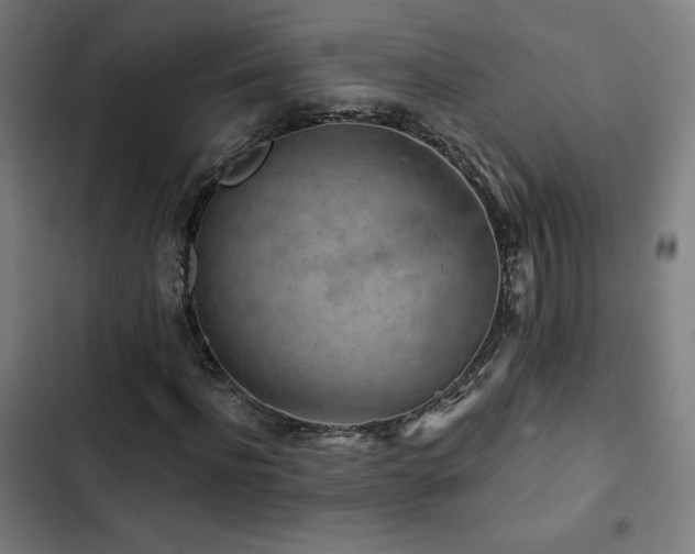 X0000103320916200809051143