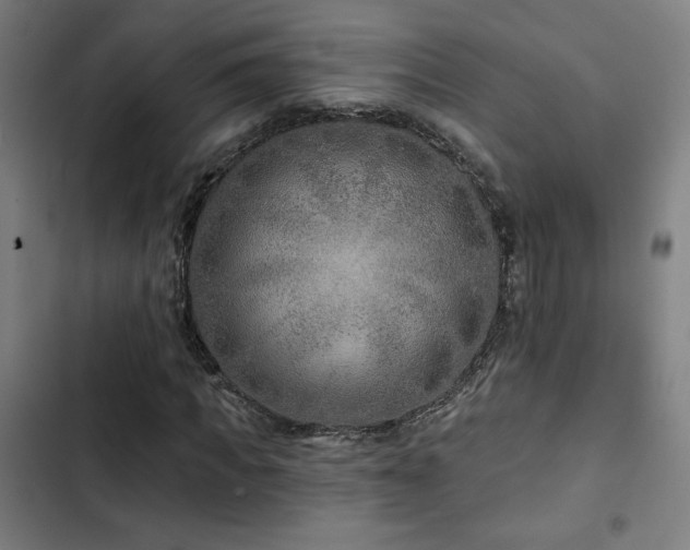 X0000103320917200809051143
