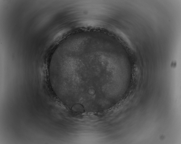 X0000103320918200809051143