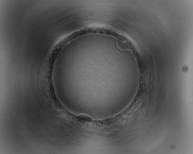 X0000103320919200809051143