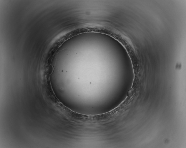 X0000103320920200809051143
