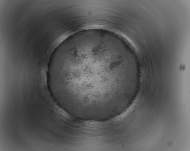 X0000103320921200809051143