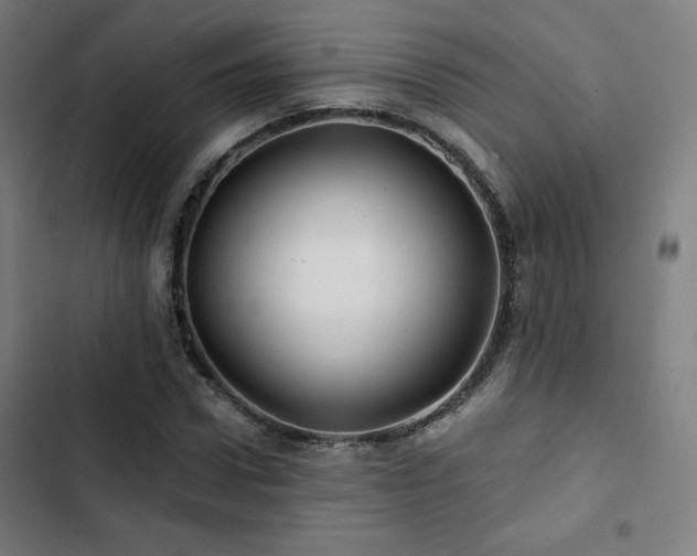 X0000103320922200809051143