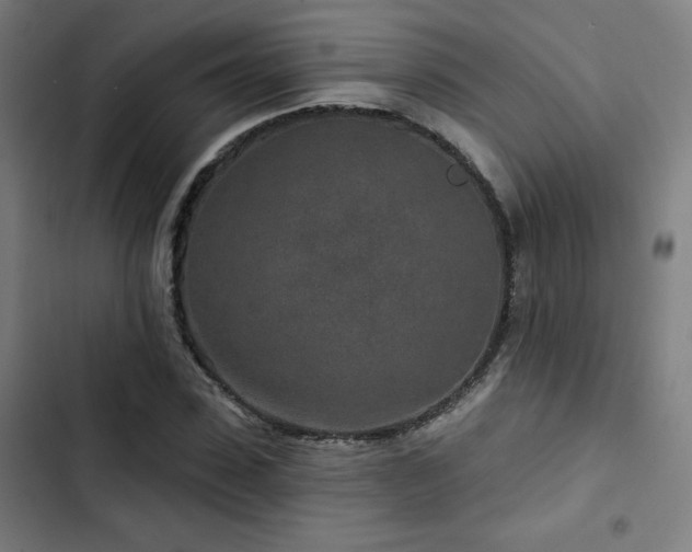 X0000103320923200809051143