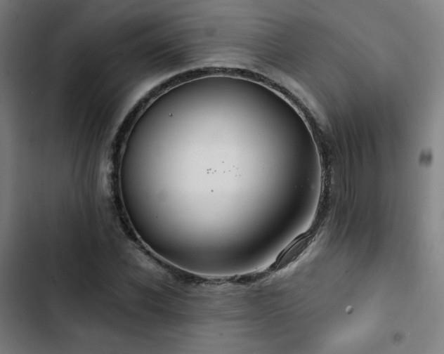 X0000103320926200809051143