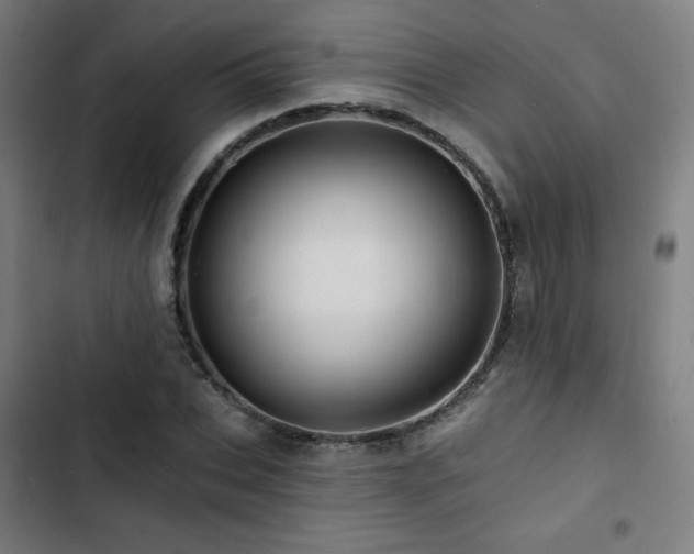X0000103320927200809051143