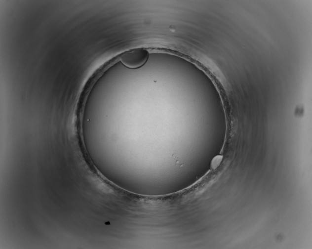 X0000103320928200809051143