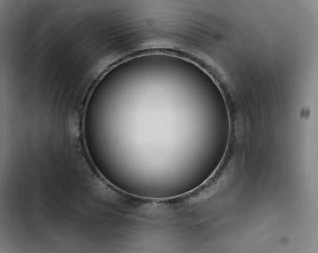 X0000103320929200809051143