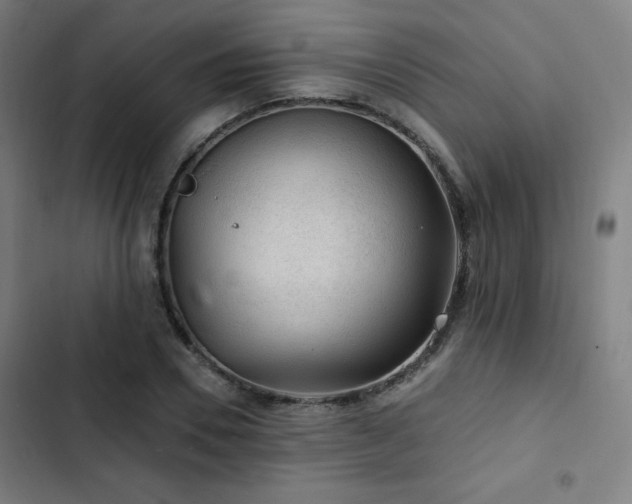 X0000103320930200809051143
