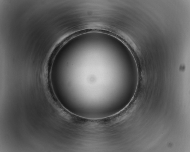 X0000103320931200809051143