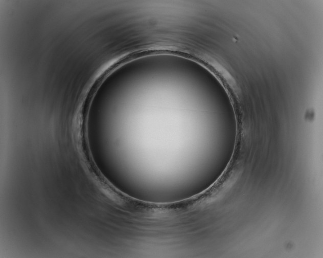 X0000103320933200809051144