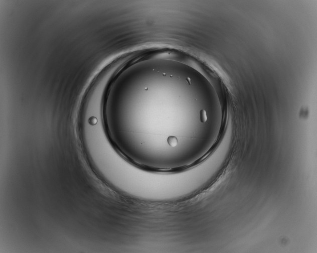 X0000103320934200809051144