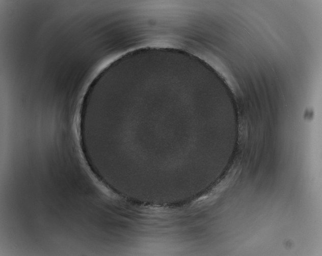 X0000103320935200809051144