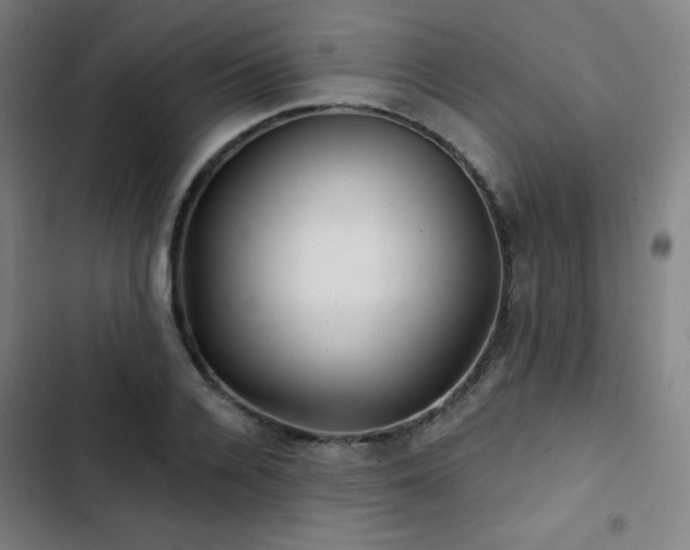 X0000103320936200809051144