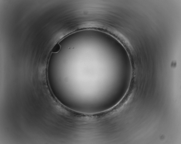 X0000103320937200809051144