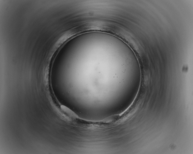 X0000103320938200809051144