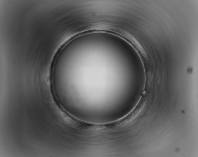 X0000103320939200809051144