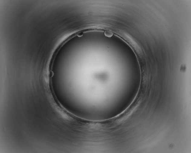 X0000103320940200809051144