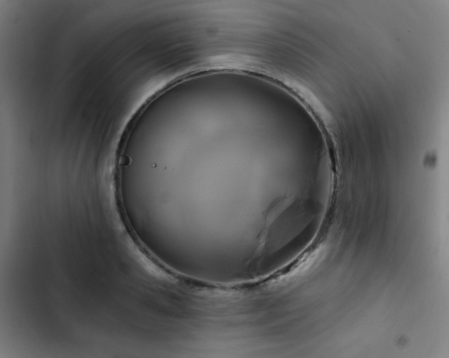 X0000103320941200809051144