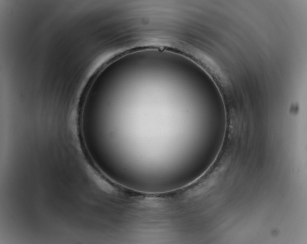 X0000103320942200809051144