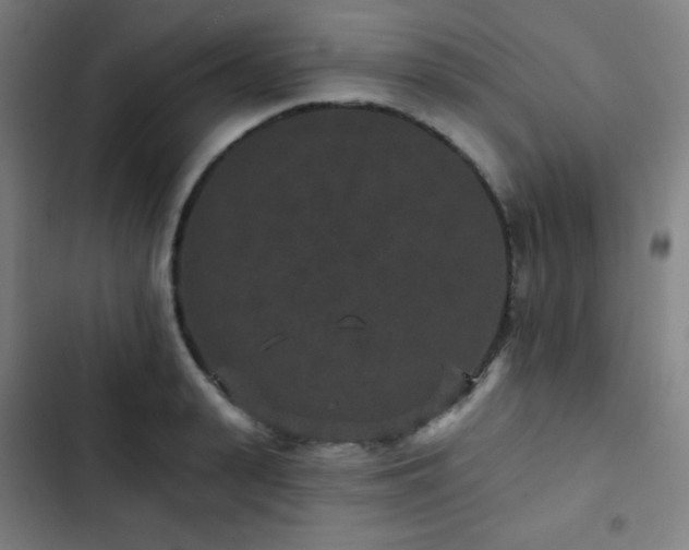 X0000103320943200809051144
