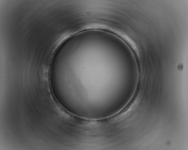 X0000103320945200809051144