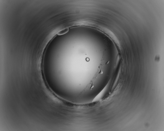 X0000103320946200809051144