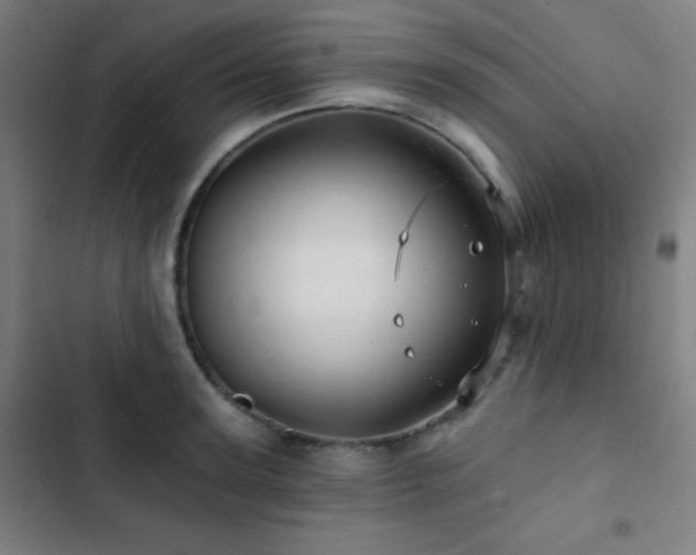 X0000103320947200809051144