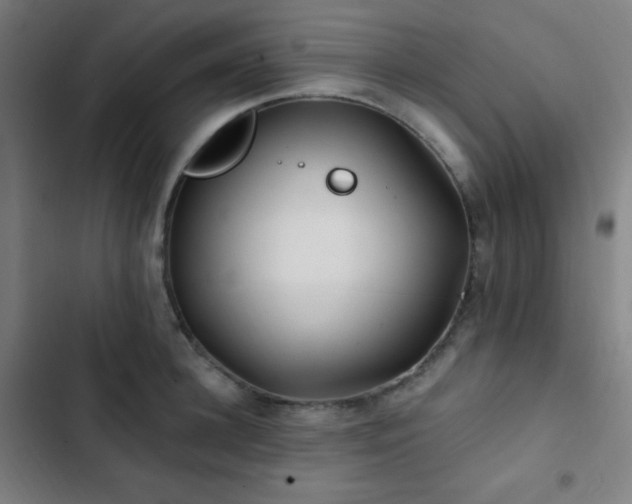 X0000103320948200809051144
